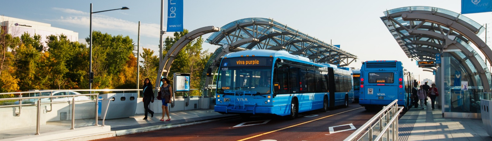 Photo of two Viva buses on the rapidway by the vivastation.
